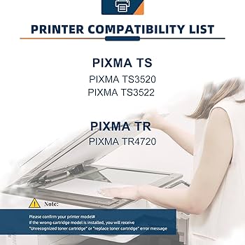 SHRINPMAN’s INK. Amazon.com: Remanufactured Ink Cartridge Replacement for